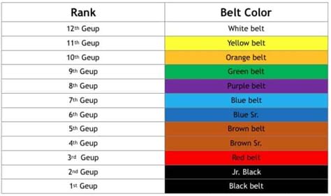 Taekwondo Belt Ranking System Easily Explained For Beginners Mma