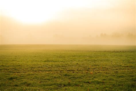 Foggy Meadow Landscape Free Photo Download Freeimages
