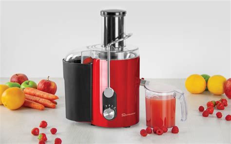 blitz power juicer homemade juice juicer healthy homemade