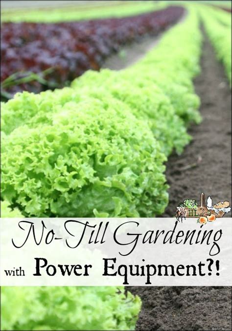 Welcome to smitty's lawn & garden equipment, where the variety of outdoor power equipment is second to none. No-Till Gardening with Power Equipment | No till garden ...