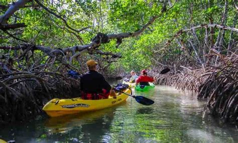Florida Keys Kayaking Near Key West Hike Bike Travel