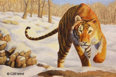 Crista Forests Animals And Art Siberian Tiger Painting Wip