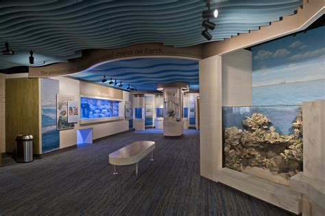 Go Almost Under The Sea At The Patton Center Of Marine Science