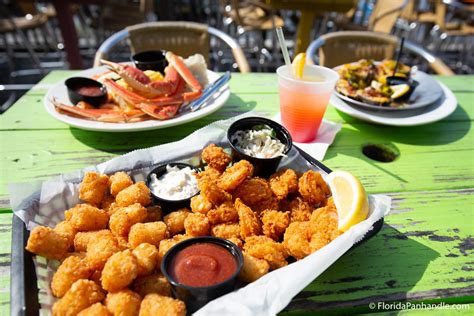 A Full Review Of Frisky Dolphin Sunset Oyster Bar And Grill
