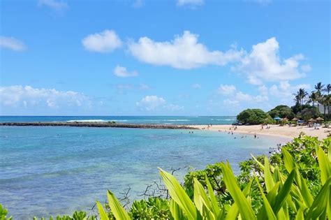 5 North Shore Oahu Beaches To Know About For First Trip To Honolulu 🌴 Hawaii Travel Blog