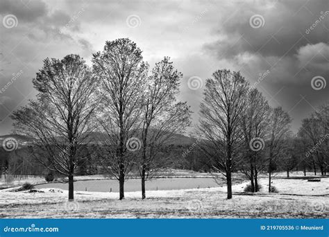 Late Winter Early Spring Landscape Stock Photo Image Of Fresh