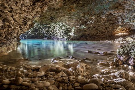 Animal Flower Cave Barbados Hasani Mcclean Flickr