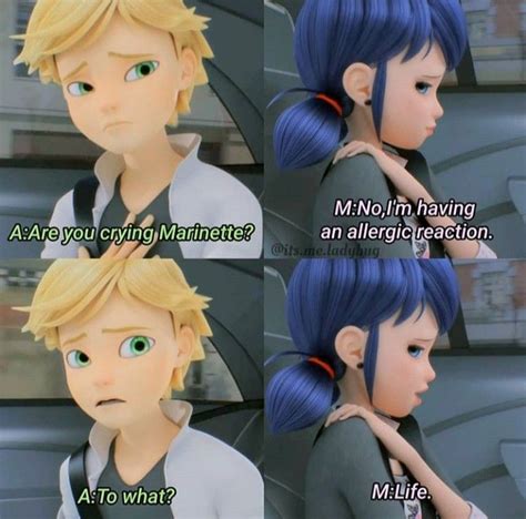 Miraculous Adrinette Meme In 2020 Miraculous Ladybug Anime