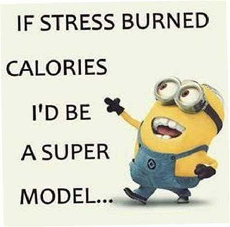 30 Funniest Minion Memes Every Facebook Mom Will Be Obsessed With