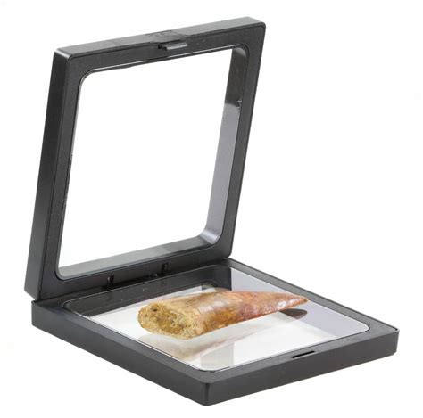 These floating frame display cases are great to displaying small fossil and mineral specimens. Large Floating Frame Display Case - 4.4" For Sale ...