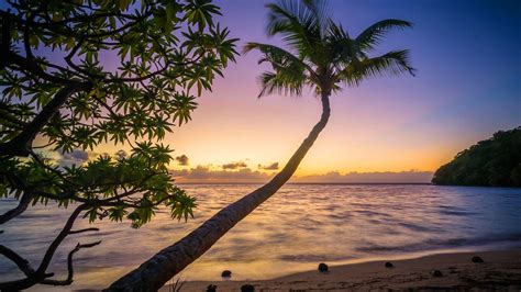 Fiji Beach Wallpapers Top Free Fiji Beach Backgrounds Wallpaperaccess