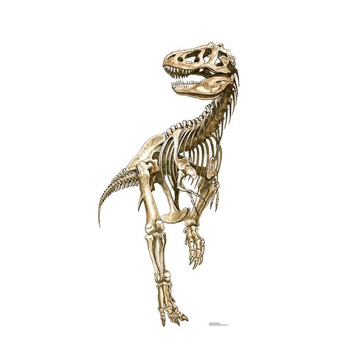 Check spelling or type a new query. Dinosour Bones 2D / 1 000 Dinosaur Pictures Images For Free Hd Pixabay / Contrary to logic, they ...