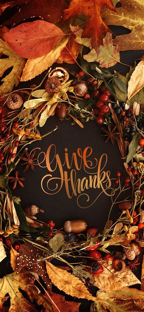 Best 100 Thanksgiving Background Iphone For The Fall Season
