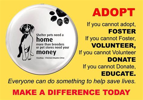 Foster Adopt Or Rehome Make A Difference With Syracuse Pets Craigslist