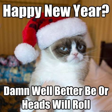 Feisty Feline New Year Memes Popsugar Tech Photo 5