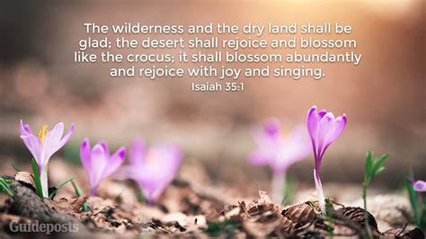 The flowers appear on the earth, the time of. 7 Bible Verses About Spring