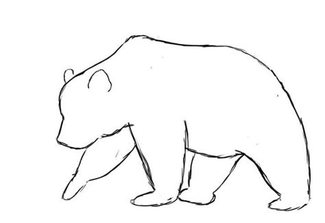 But there are also poignant moments which never seem forced. Bear- rough outline, base structure | Bear drawing, Bear ...