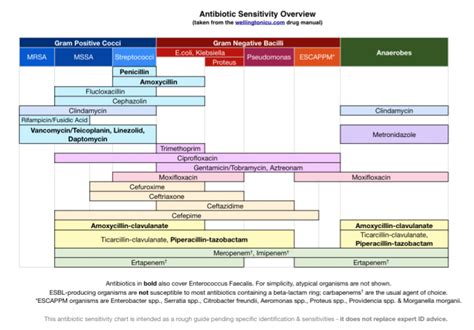Great Simplified Chart On Antibiotic Sensitivity Overview Crit Cloud