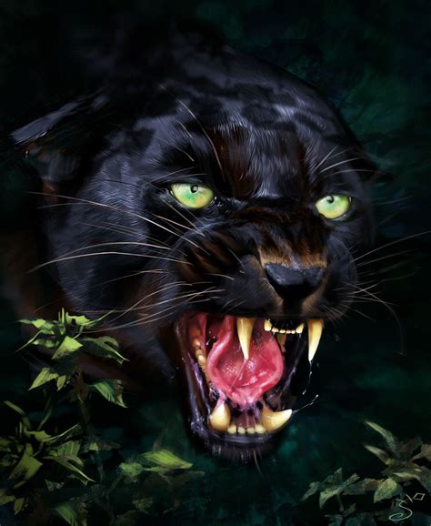 Art Black Panther Animal 736x898 Download Hd Wallpaper Wallpapertip