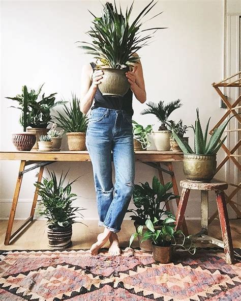 (also, stop hatching shady plots. You can never have too many plants in a home! | Home Decor ...