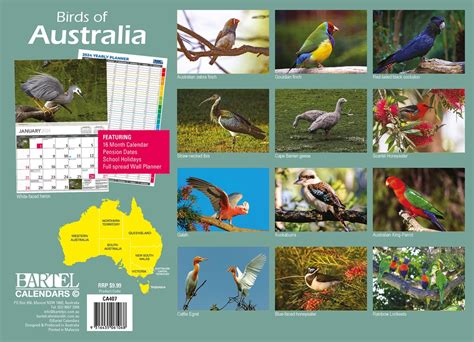 Birds Of Australia 2024 Calendar Ryft