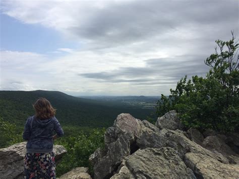 MelissaKnits: Red Pill Blue Pill