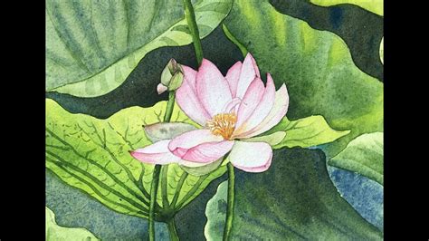 How To Paint A Lotus Flower In Watercolor Watercolor Flower Painting