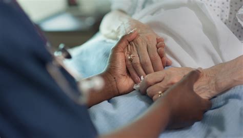 Pov Understanding Palliative And Hospice Care Vital Record