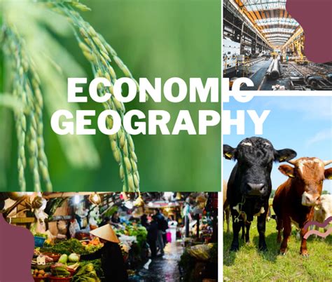 Meaning Of Economic Geography Hubpages