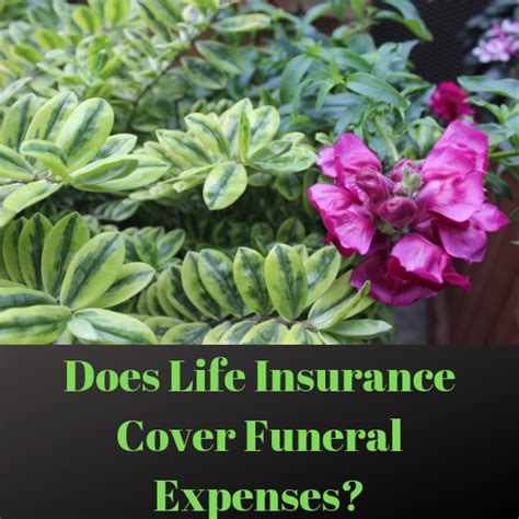 Does Life Insurance Cover Funeral Expenses Funeral Expenses Funeral