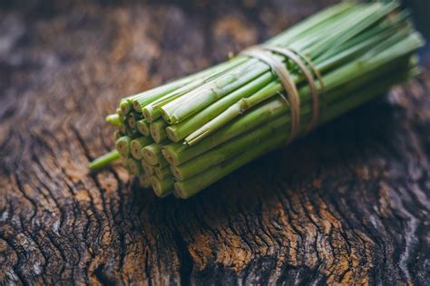 What Is The Best Way To Harvest Lemongrass Grow Food Guide