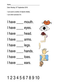 We share the following free pdf worksheet. Counting body parts simple worksheet by Natalie Musker | TpT
