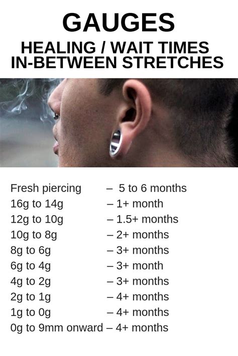 Ear Stretching Timeline Ear Stretching Guide How To Ear Stretching Gauges Piercing Ear