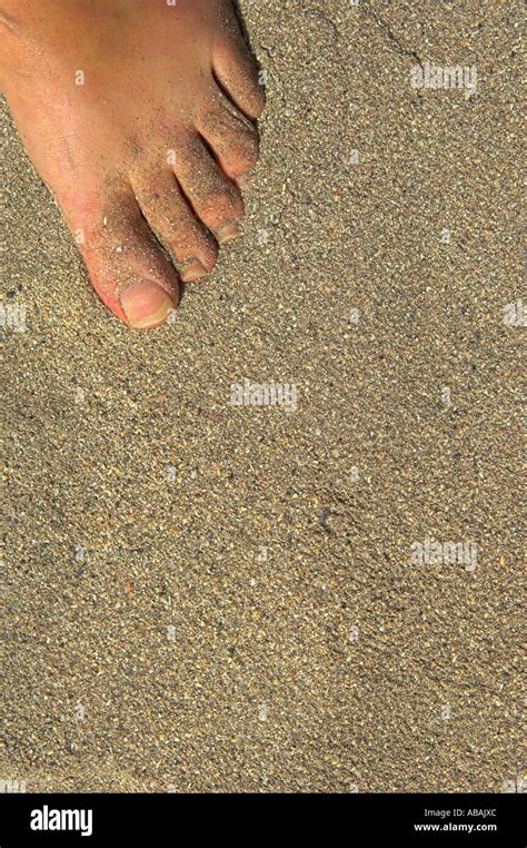 Womans Sandy Toes On Sand Beach With Tiny Fragments Of Shells Making Up