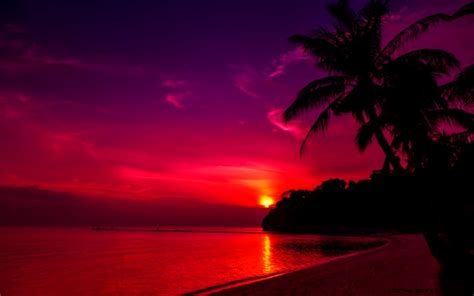 Purple Sunset Wallpaper | Zoom Wallpapers