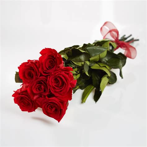Maybe you would like to learn more about one of these? Three Red Roses in a Silk Lined Gift Box