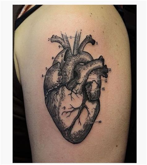 22 Most Realistic Heart Tattoo That I Have Ever Seen Anatomical Tattoos Real Heart Tattoos