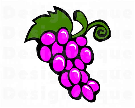 Grape Clipart Grape Svg Fruit Svg Grapes Grape Files For Etsy