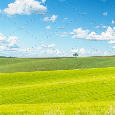 Green Field Background High Quality Nature Stock Photos ~ Creative Market