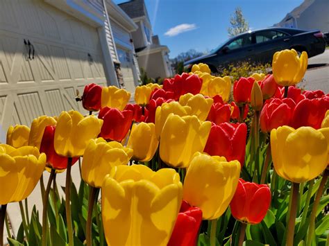 Hopkinton Today: Tuesday, May 10 - Hopkinton Independent