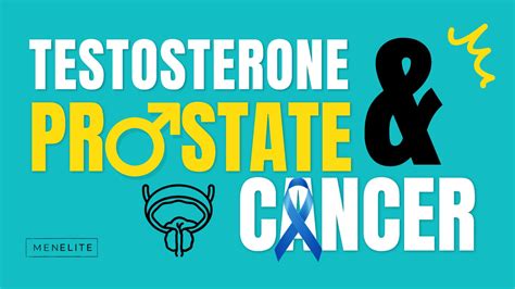 Testosterone And Prostate Cancer We Ve Been Lied To Testonation