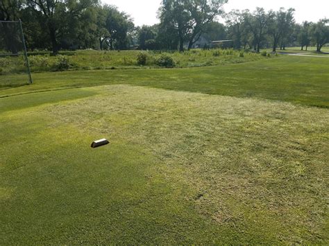 Minor Park Golf Course Maintenance White Goose Grass