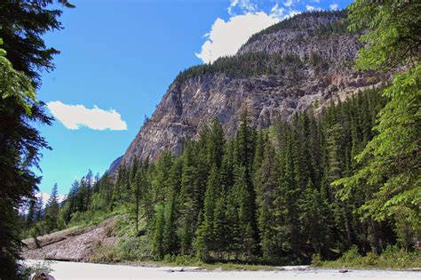 Camping Tips And Tricks Kicking Horse Campground Yoho National Park