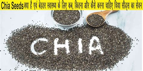 Chia Seeds In Hindi Sabja Seeds Chia Seeds Health Benefits
