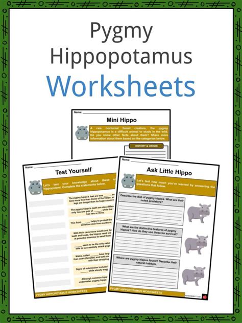 Pygmy Hippopotamus Facts Worksheets And Origins For Kids