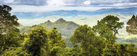 Forests And Reserves Sri Lanka Sri Lanka Sinharaja Rain Forest