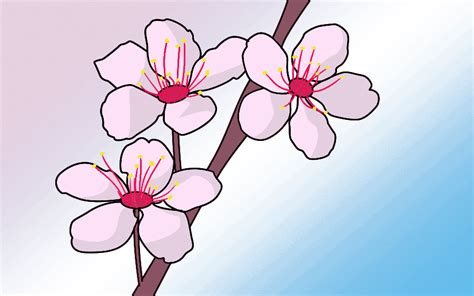 Https://flazhnews.com/draw/how To Draw A Blossom Tree Branch