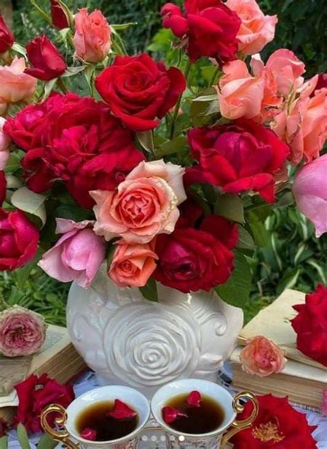 Pretty Flowers Photography Beautiful Flowers Beautiful Pictures Rose