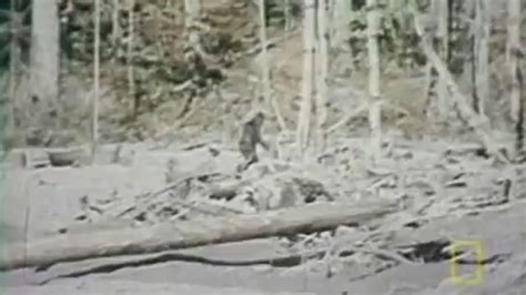 ‘proof Of Bigfoot Group Releases List Of Top 10 Filmed Encounters