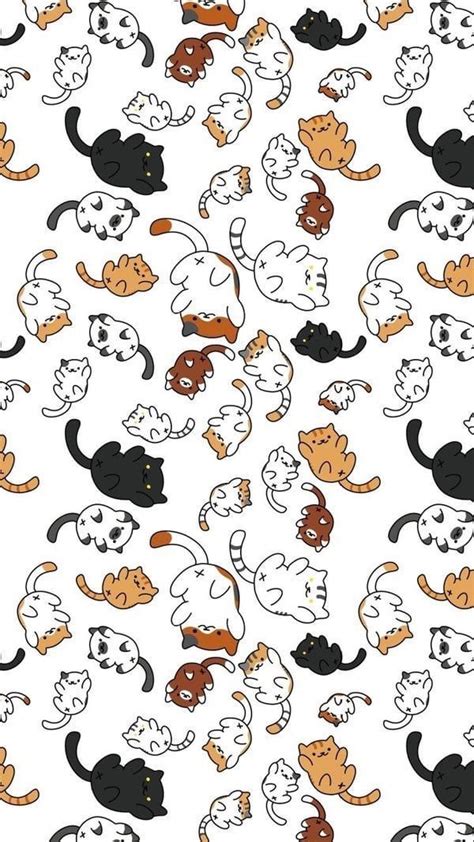 Cats Lovers Wallpaper Cats Pets Cute Fondos De Pantalla De Gatos